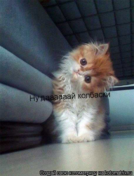 Котоматрица: Ну даааааай колбаски