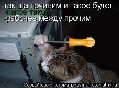 Котоматрица: -так ща починим и такое будет -какое такое -рабочее между прочим
