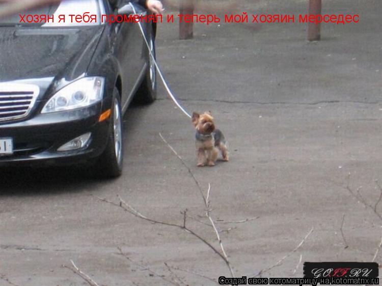 Котоматрица: хозян я тебя променял и теперь мой хозяин мерседес