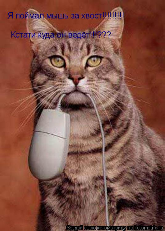 Котоматрица: Я поймал мышь за хвост!!!!!!!!! Кстати куда он ведёт!!!???
