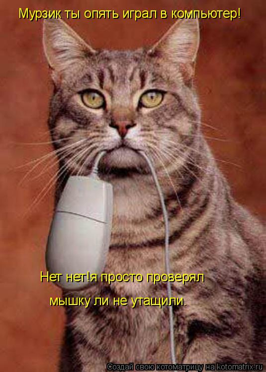 Котоматрица: Мурзик ты опять играл в компьютер! Нет нет!я просто проверял мышку ли не утащили.