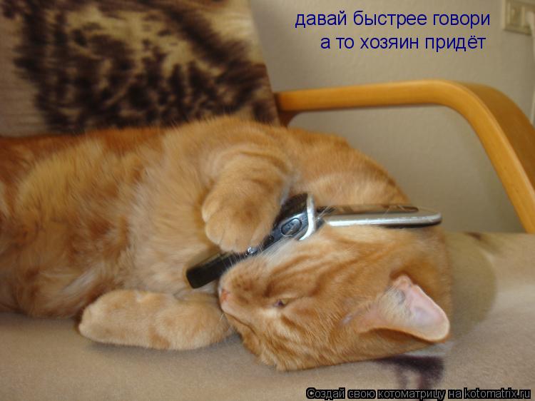 Котоматрица: давай быстрее говори а то хозяин придёт