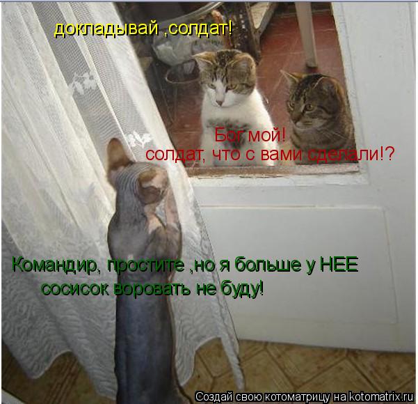Котоматрица: докладывай ,солдат! сосисок воровать не буду! Бог мой! Командир, простите ,но я больше у НЕЕ  солдат, что с вами сделали!?