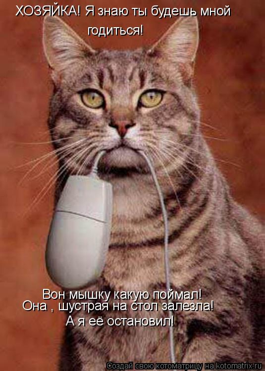 Котоматрица: ХОЗЯЙКА! Я знаю ты будешь мной  годиться! Вон мышку какую поймал! Она , шустрая на стол залезла! А я её остановил!