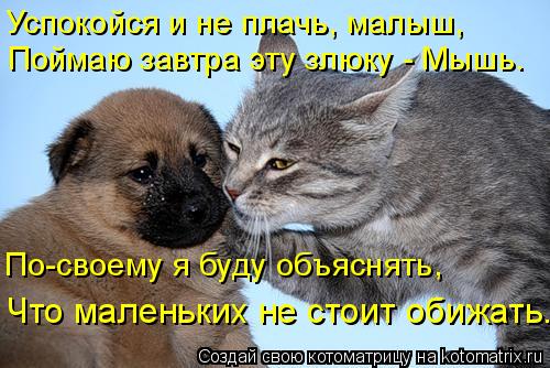 Котоматрица: Успокойся и не плачь, малыш, Поймаю завтра эту злюку - Мышь. По-своему я буду объяснять, Что маленьких не стоит обижать.