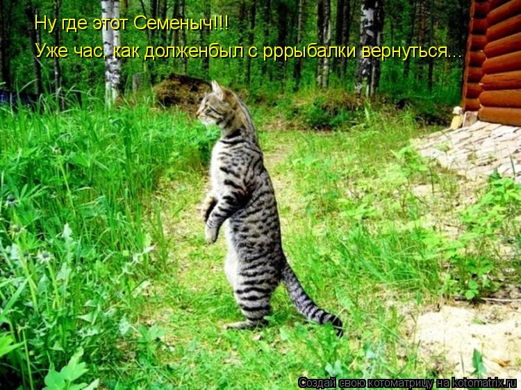 Котоматрица: Ну где этот Семеныч!!! Уже час, как долженбыл с рррыбалки вернуться...