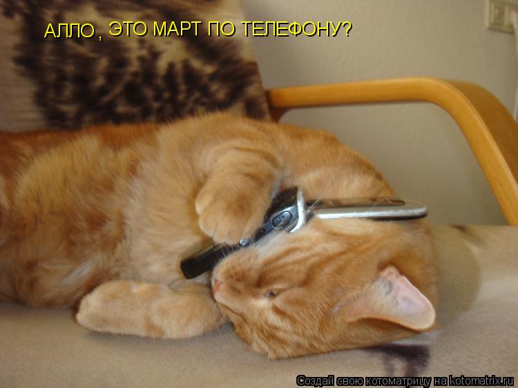 АЛЛО , ЭТО МАРТ ПО ТЕЛЕФОНУ?... Котоматрица: АЛЛО , ЭТО МАРТ ПО ТЕЛЕФОНУ?