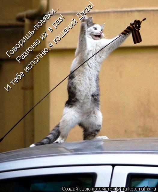 Котоматрица: Говоришь-помехи... Разгоню их в раз! И тебе исполню,я кошачий Джаз!