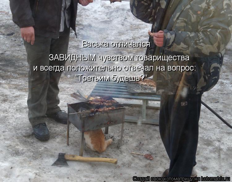 Котоматрица: ЗАВИДНЫМ чувством товарищества и всегда положительно отвечал на вопрос: Васька отличался  Васька отличался  "Третьим будешь?"