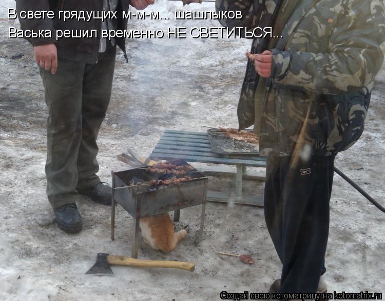 Котоматрица: Васька решил временно НЕ СВЕТИТЬСЯ... В свете грядущих м-м-м... шашлыков