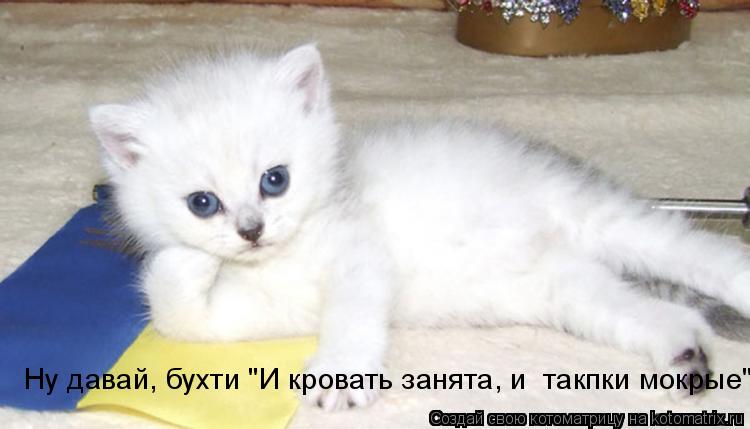 Котоматрица: Ну давай, бухти "И кровать занята, и  такпки мокрые"....