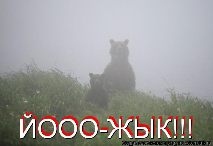 ЙООО-ЖЫК!!! ЙООО-ЖЫК!!!... Котоматрица: ЙООО-ЖЫК!!! ЙООО-ЖЫК!!!