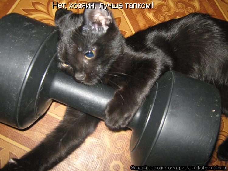 Котоматрица: Нет, хозяин, лучше тапком!