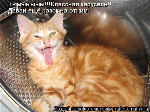 Котоматрица: Гыыыыыыы!!!Классная карусель!! Давай ещё разок на отжим!
