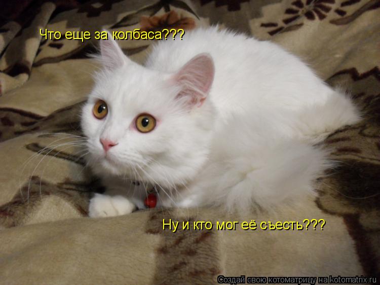 Котоматрица: Что еще за колбаса??? Ну и кто мог её съесть???
