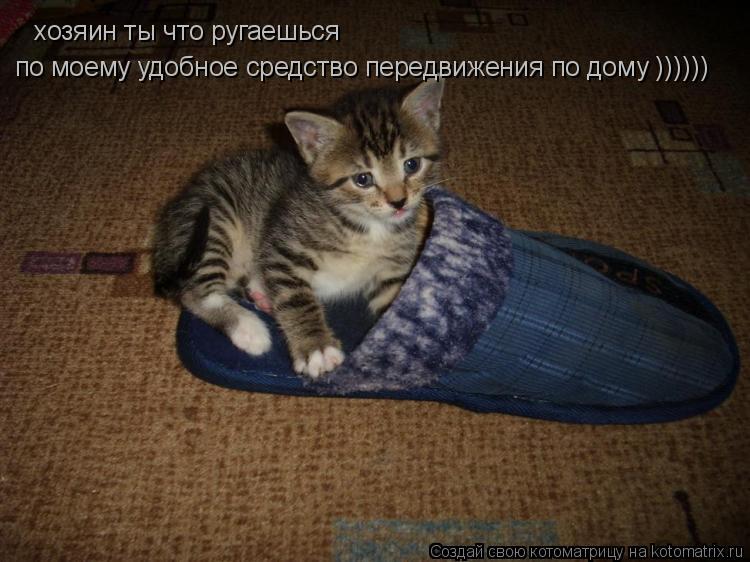 Котоматрица: хозяин ты что ругаешься  по моему удобное средство передвижения по дому ))))))