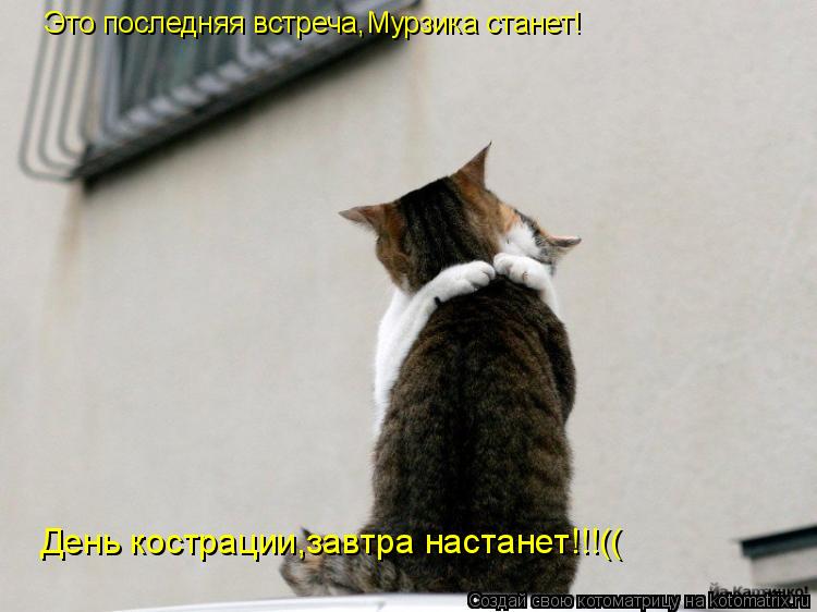 Котоматрица: Это последняя встреча,Мурзика станет! День кострации,завтра настанет!!!((