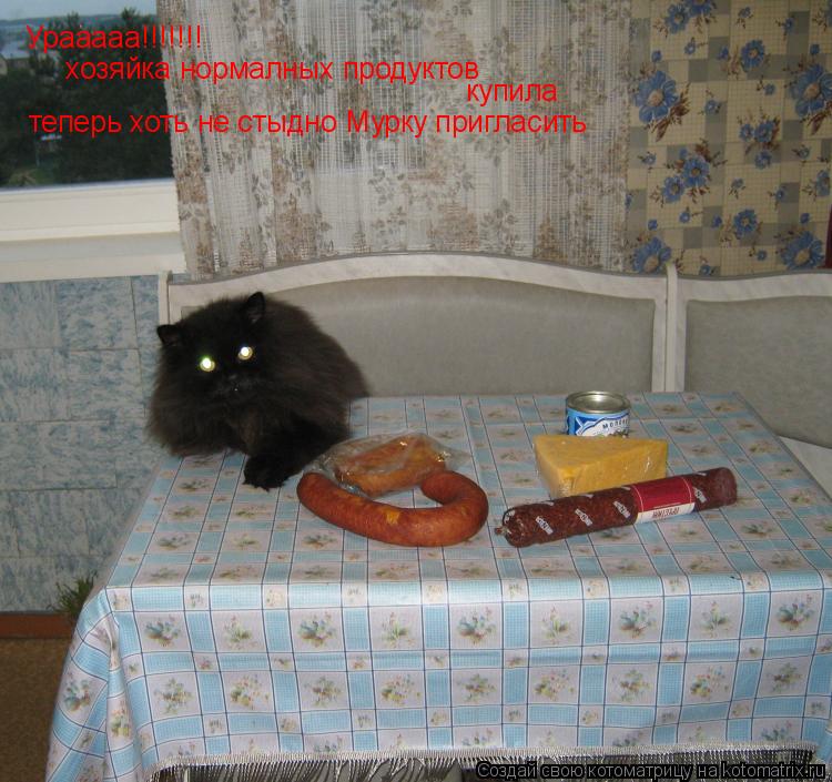 Котоматрица: Урааааа!!!!!!!  хозяйка нормалных продуктов  купила теперь хоть не стыдно Мурку пригласить