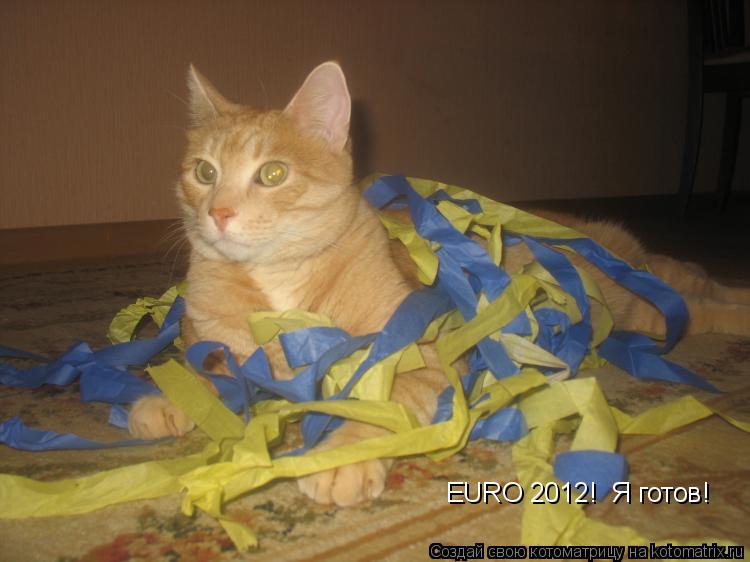 Котоматрица: EURO 2012!  Я готов!