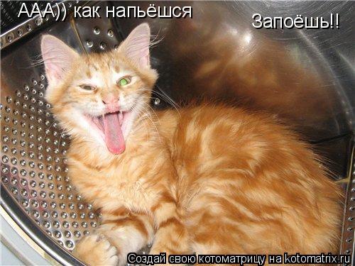 Котоматрица: ААА)) как напьёшся Запоёшь!!