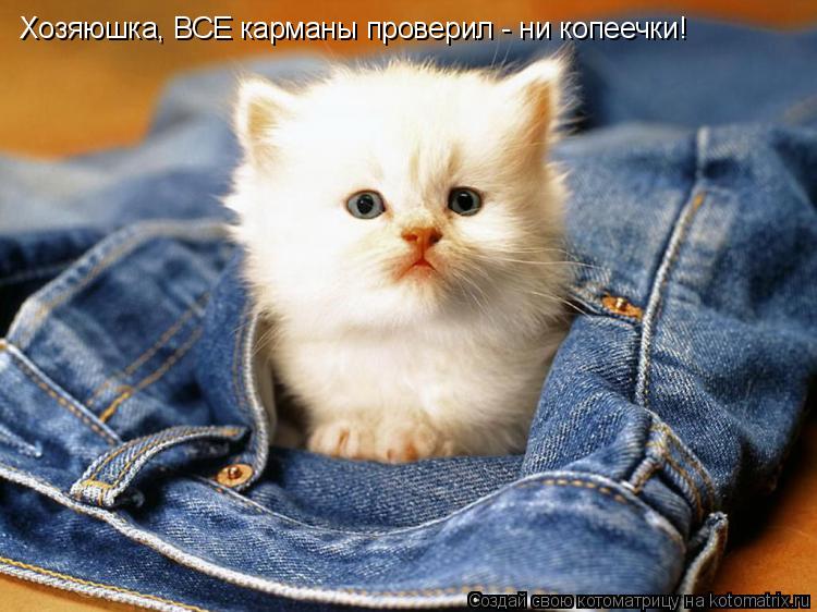 Котоматрица: Хозяюшка, ВСЕ карманы проверил - ни копеечки!