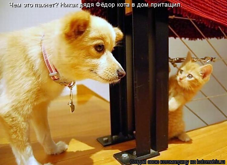 Котоматрица: Чем это пахнет? Никак дядя Фёдор кота в дом притащил.