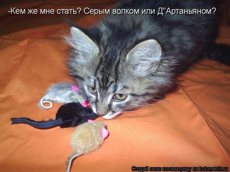 Котоматрица: -Кем же мне стать? Серым волком или Д"Артаньяном?