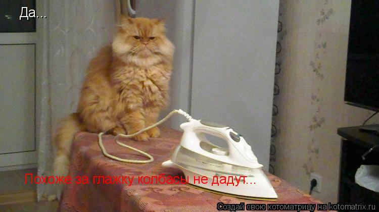 Котоматрица: Да... Похоже за глажку колбасы не дадут...