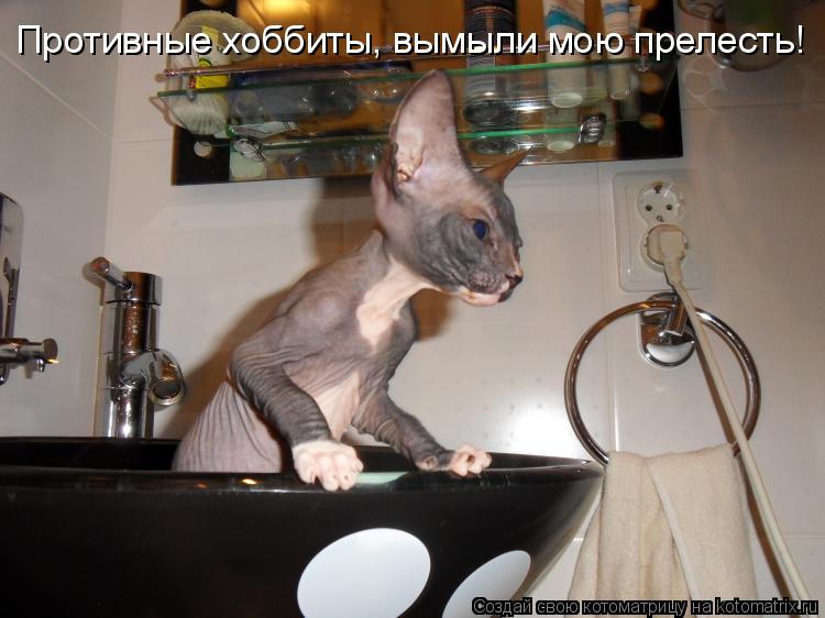 Котоматрица: Противные хоббиты, вымыли мою прелесть!