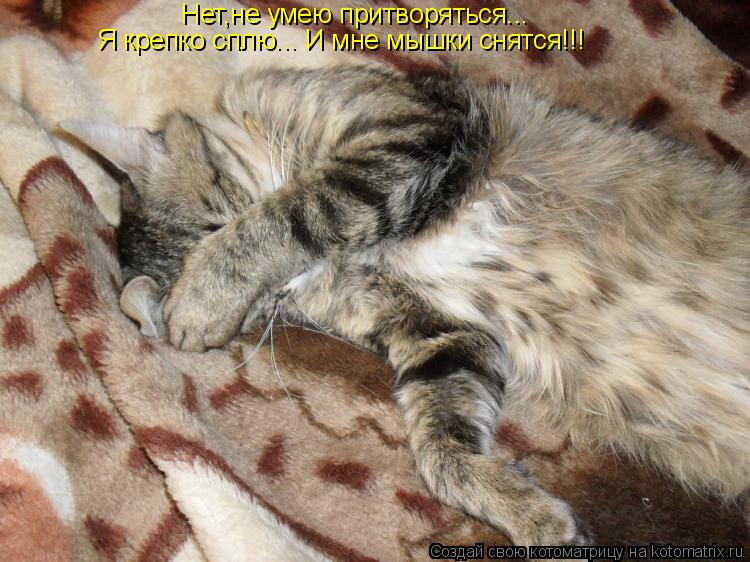 Котоматрица: Нет,не умею притворяться... Я крепко сплю... И мне мышки снятся!!!