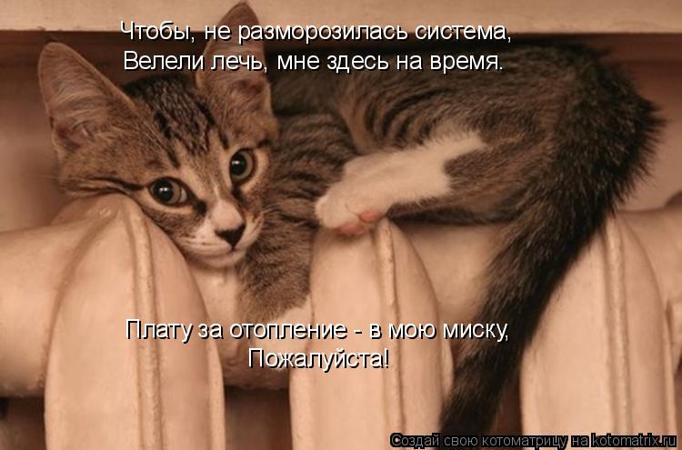 Котоматрица: Чтобы, не разморозилась система, Велели лечь, мне здесь на время. Плату за отопление - в мою миску, Пожалуйста!