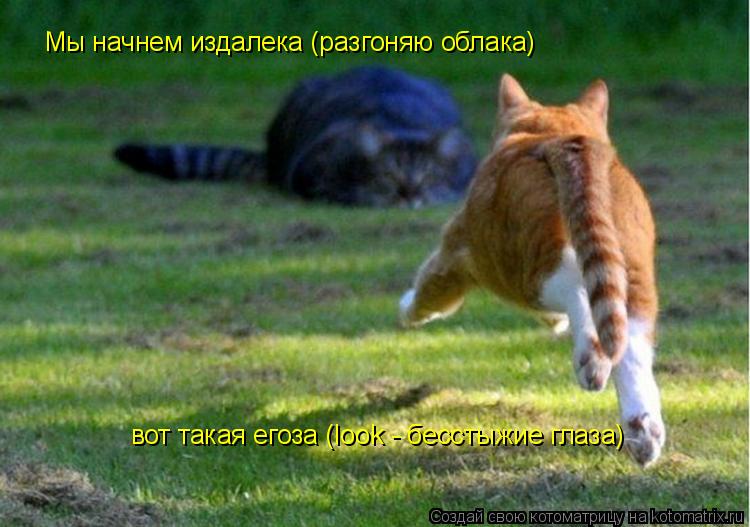 Котоматрица: Мы начнем издалека (разгоняю облака) вот такая егоза (look - бесстыжие глаза)