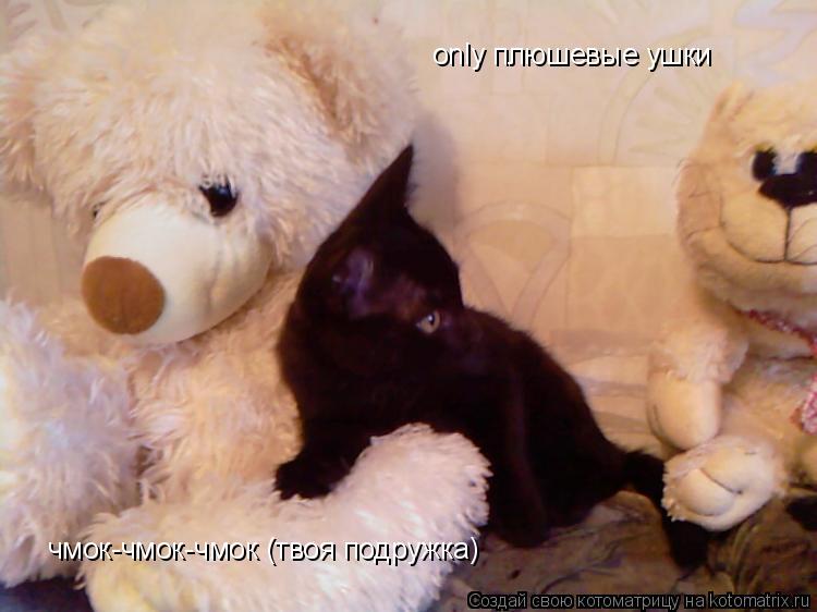 Котоматрица: only плюшевые ушки чмок-чмок-чмок (твоя подружка)