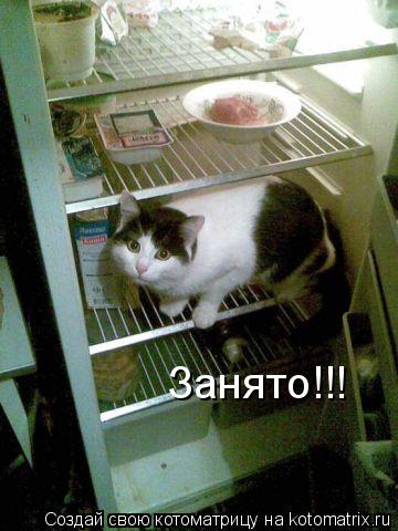Котоматрица: Занято!!!