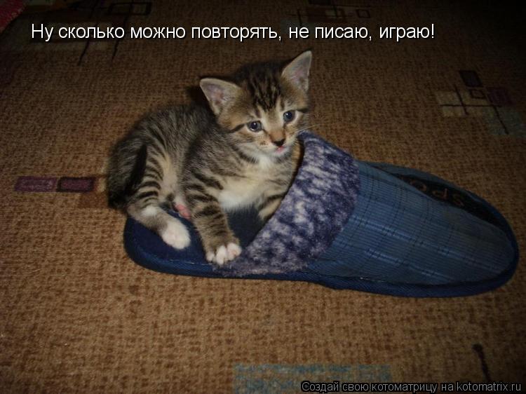 Котоматрица: Ну сколько можно повторять, не писаю, играю!