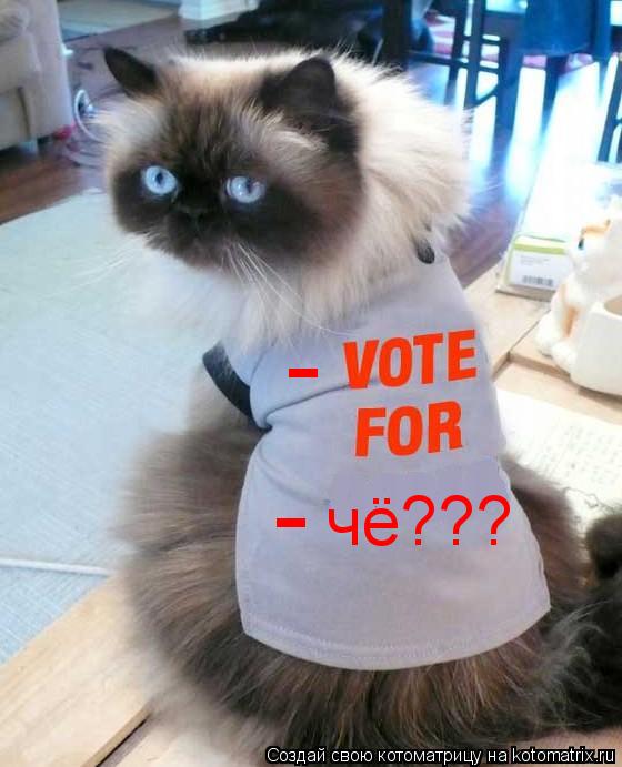 Котоматрица: - - чё???