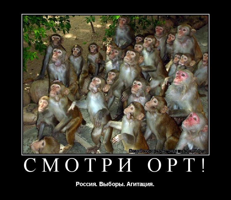 Котоматрица: СМОТРИ ОРТ! Россия. Выборы. Агитация.