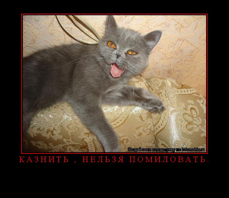 Котоматрица: Казнить , нельзя помиловать. 