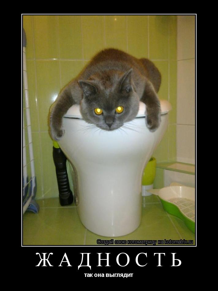 ЖАДНОСТЬ так она выглядит... Котоматрица: ЖАДНОСТЬ так она выглядит