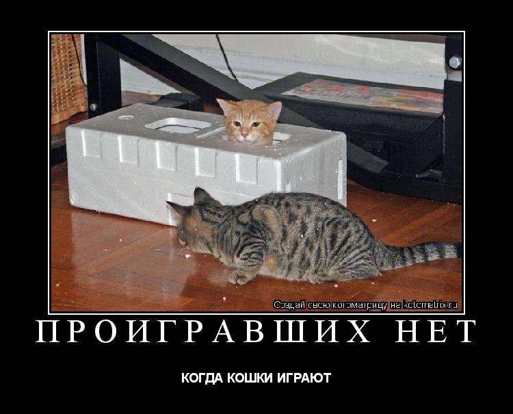 Котоматрица: ПРОИГРАВШИХ НЕТ КОГДА КОШКИ ИГРАЮТ