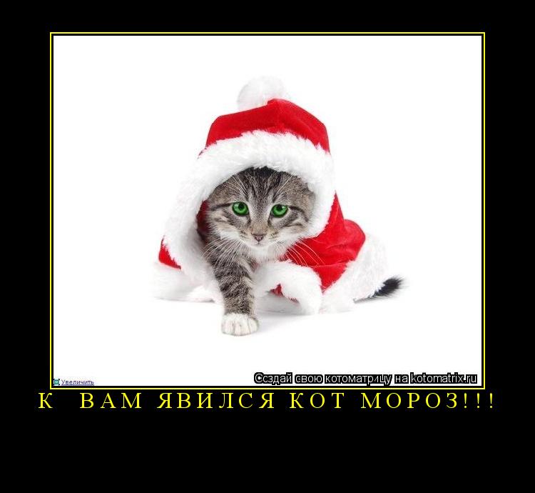 Котоматрица: к  вам явился Кот Мороз!!! 