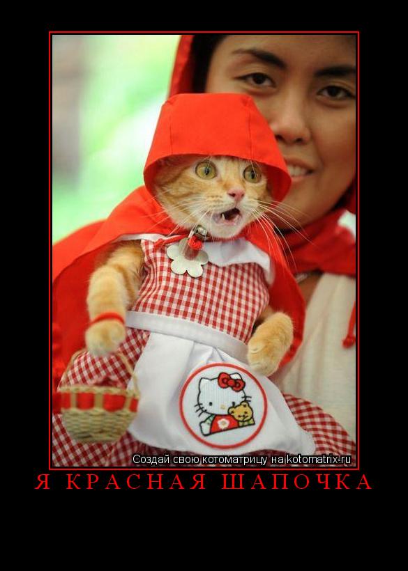 Котоматрица: Я красная шапочка 