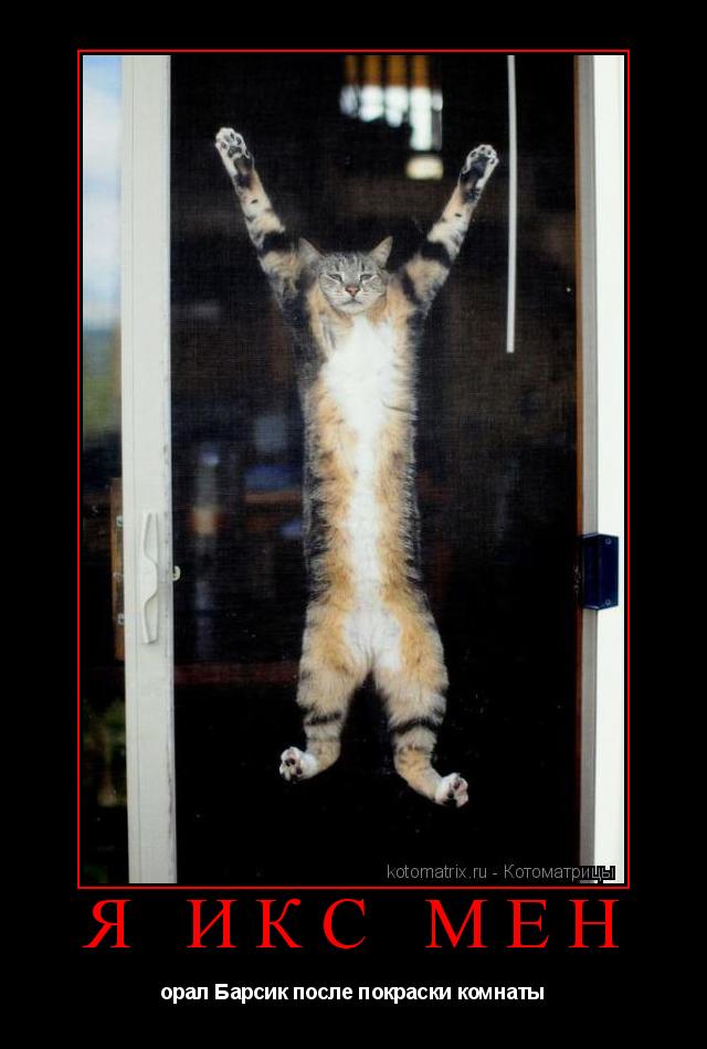Котоматрица: Я ИКС мен орал Барсик после покраски комнаты