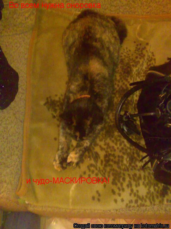 Котоматрица: Во всем нужна сноровка и чудо-МАСКИРОВКА!