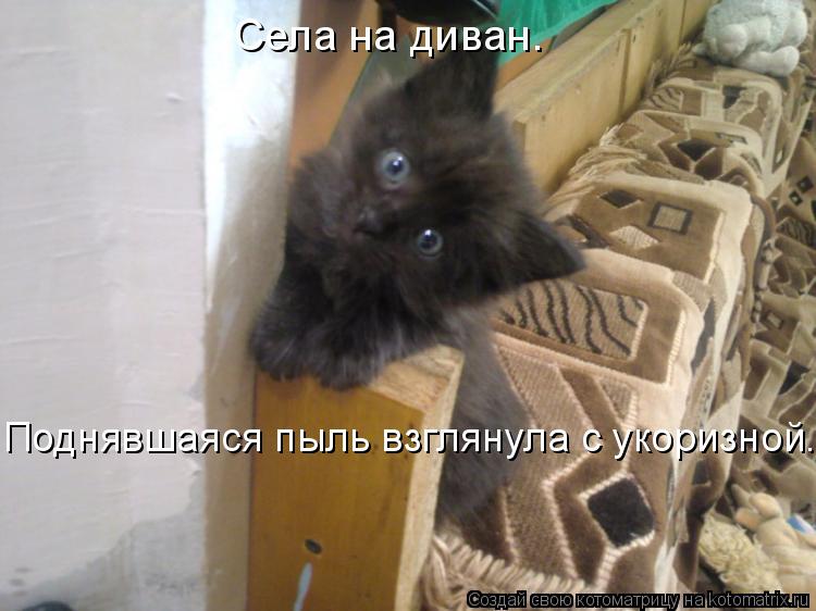 Котоматрица: Села на диван. Поднявшаяся пыль взглянула с укоризной.