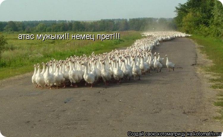 Котоматрица: атас мужыки!! немец прет!!!