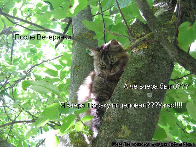 Котоматрица: А чё вчера было??? После Вечеринки. Я вчера Люську поцеловал???Ужас!!!!