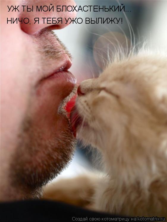 Котоматрица: УЖ ТЫ МОЙ БЛОХАСТЕНЬКИЙ... НИЧО, Я ТЕБЯ УЖО ВЫЛИЖУ!