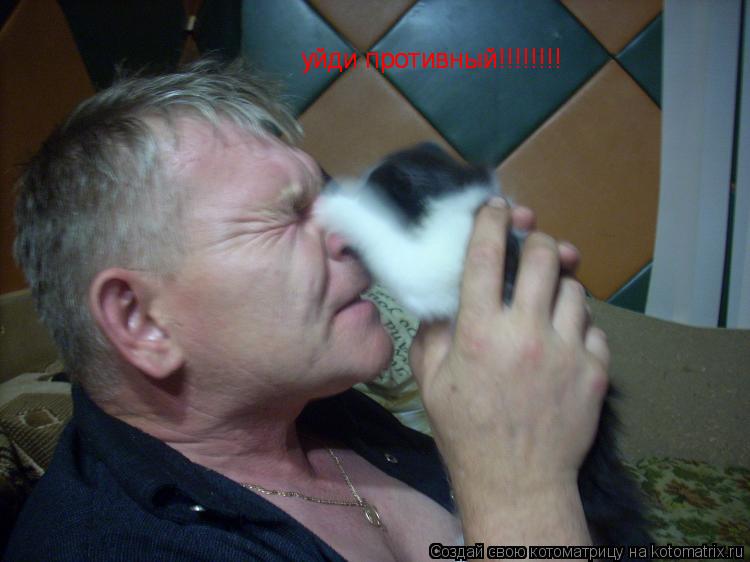 Котоматрица: уйди противный!!!!!!!! уйди противный!!!!!!!!