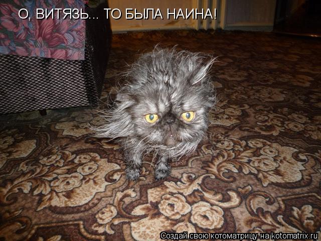 Котоматрица: О, ВИТЯЗЬ... ТО БЫЛА НАИНА!
